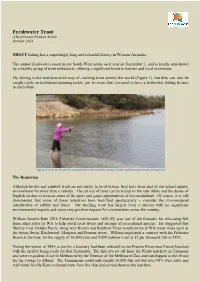 Freshwater Trout a Recfishwest Feature Article October 2014