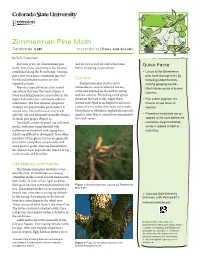Zimmerman Pine Moth Fact Sheet No