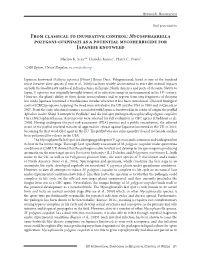 From Classical to Inundative Control: Mycosphaerella Polygoni-Cuspidati As a Potential Mycoherbicide for Japanese Knotweed