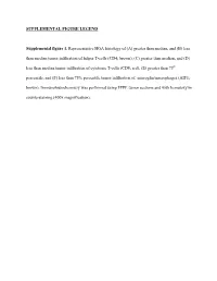 SUPPLEMENTAL FIGURE LEGEND Supplemental Figure 1. Representative HGA Histology of (A) Greater Than Median, and (B) Less Than