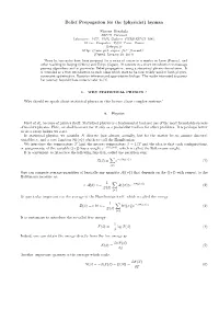 Belief Propagation for the (Physicist) Layman