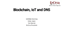 Blockchain, Iot and DNS