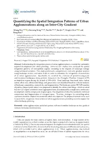 Quantifying the Spatial Integration Patterns of Urban Agglomerations Along an Inter-City Gradient