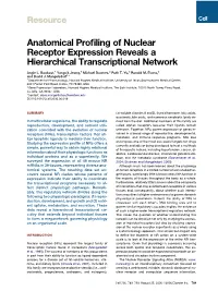 Anatomical Profiling of Nuclear Receptor Expression Reveals A