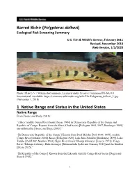 Barred Bichir (Polypterus Delhezi) ERSS