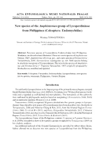 Coleoptera: Endomychidae)