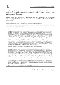 Morphological and Genetic Comparative