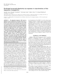 Profound Neuronal Plasticity in Response to Inactivation of the Dopamine Transporter