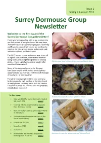 Surrey Dormouse Group Newsletter