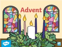 Advent Calendars