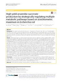 High-Yield Anaerobic Succinate Production by Strategically