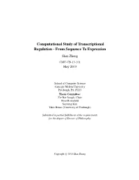 Computational Study of Transcriptional Regulation - from Sequence to Expression