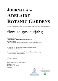 Dichromochlamys, a New Genus in Asteraceae (Astereae) C