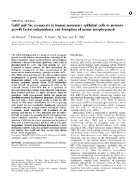 Gab2 and Src Co-Operate in Human Mammary Epithelial Cells to Promote Growth Factor Independence and Disruption of Acinar Morphogenesis