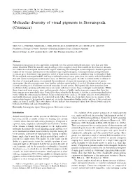 Molecular Diversity of Visual Pigments in Stomatopoda (Crustacea)