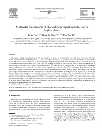 Molecular Mechanisms of Phytochrome Signal Transduction in Higher Plants