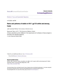 Rates and Patterns of Indels in HIV-1 Gp120 Within and Among Hosts