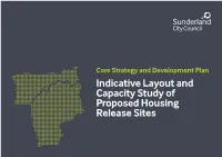Indicative Layout and Capacity Study of Proposed Housing Release Sites HRS1: North of Mount Lane, Springwell Village