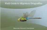 Field Guide to Migratory Dragonflies