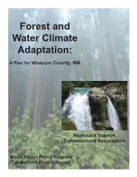 Forest and Water Climate Adaptation: a Plan for Whatcom County