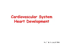 Cardiovascular System Heart Development Cardiovascular System Heart Development
