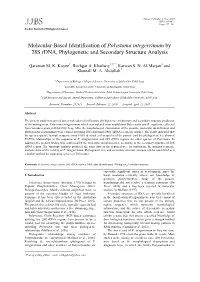 Molecular-Based Identification of Polystoma Integerrimum by 28S Rdna, Phylogenetic and Secondary Structure Analysis