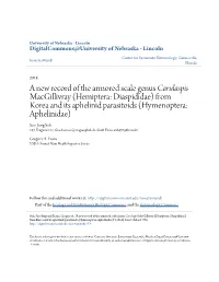 A New Record of the Armored Scale Genus Carulaspis Macgillivray