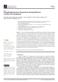 Phosphodiesterases Expression During Murine Cardiac Development
