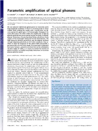 Parametric Amplification of Optical Phonons