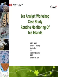 Routine Monitoring of Ice Islands