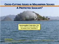 Cross-Cutting Issues in Malampaya Sound: a Protected Seascape1