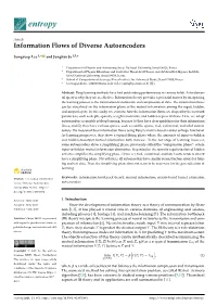 Information Flows of Diverse Autoencoders