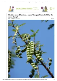 Meet the Trees of Namibia ... Acacia? Senegalia? Vachellia? Why the Name Change? - the Namibian