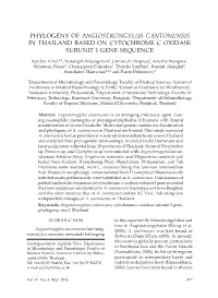 Angiostrongylus Cantonensis in Thailand Based on Cytochrome C Oxidase Subunit I Gene Sequence