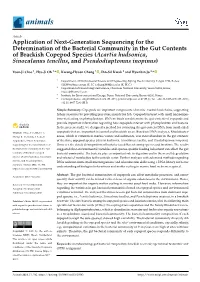 Application of Next-Generation Sequencing For