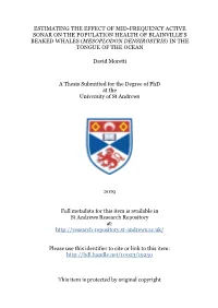 David Moretti Phd Thesis