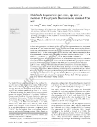 Description of the Family Flammeo- for Strain Isolation, the Soil Sample Was Thoroughly Virgaceae Was Formally Established by Yoon Et Al