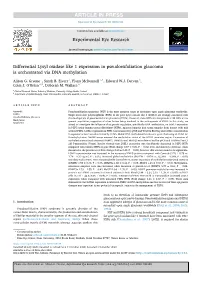 Differential Lysyl Oxidase Like 1 Expression in Pseudoexfoliation Glaucoma Is Orchestrated Via DNA Methylation