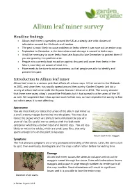 Allium Leaf Miner Is Spreading Around the UK at a Steady Rate with Clusters of Infestation Around the Midlands and London