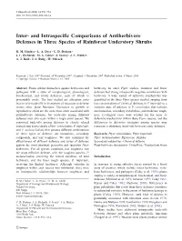 Inter- and Intraspecific Comparisons of Antiherbivore Defenses in Three Species of Rainforest Understory Shrubs