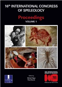 Proceedings VOLUME 1