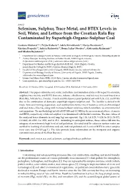 Selenium, Sulphur, Trace Metal, and BTEX Levels in Soil, Water, and Lettuce from the Croatian Raša Bay Contaminated by Superhigh-Organic-Sulphur Coal