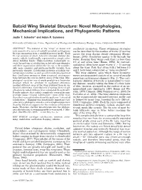 Batoid Wing Skeletal Structure: Novel Morphologies, Mechanical Implications, and Phylogenetic Patterns