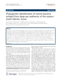 Phylogenetic Identification of Marine Bacteria Isolated from Deep-Sea