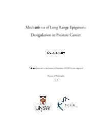 Public Version.Pdf