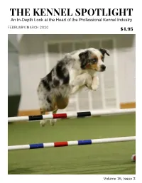 AKC AGILITY MASTER When Connie Watson Wants to Have Some Fun with Her Blue Merle Aussie, Echo, She Knows Just What to Do