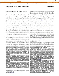 Cell Size Control in Bacteria Review