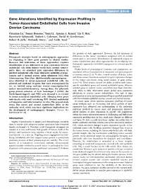 Gene Alterations Identified by Expression Profiling in Tumor-Associated Endothelial Cells from Invasive Ovarian Carcinoma