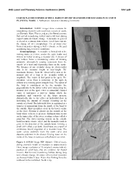 Liquid Water Formed Scroll Bars in River Meanders for Decades in Elysium Planitia, Mars