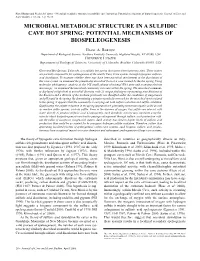 Microbial Metabolic Structure in a Sulfidic Cave Hot Spring: Potential Mechanisms of Biospeleogenesis
